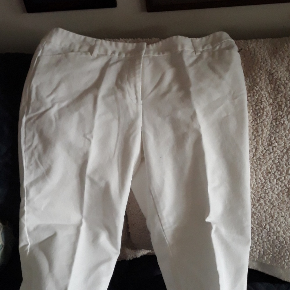 Dress pants